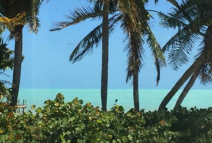 Murphy's Paradise - Islamorada, Florida