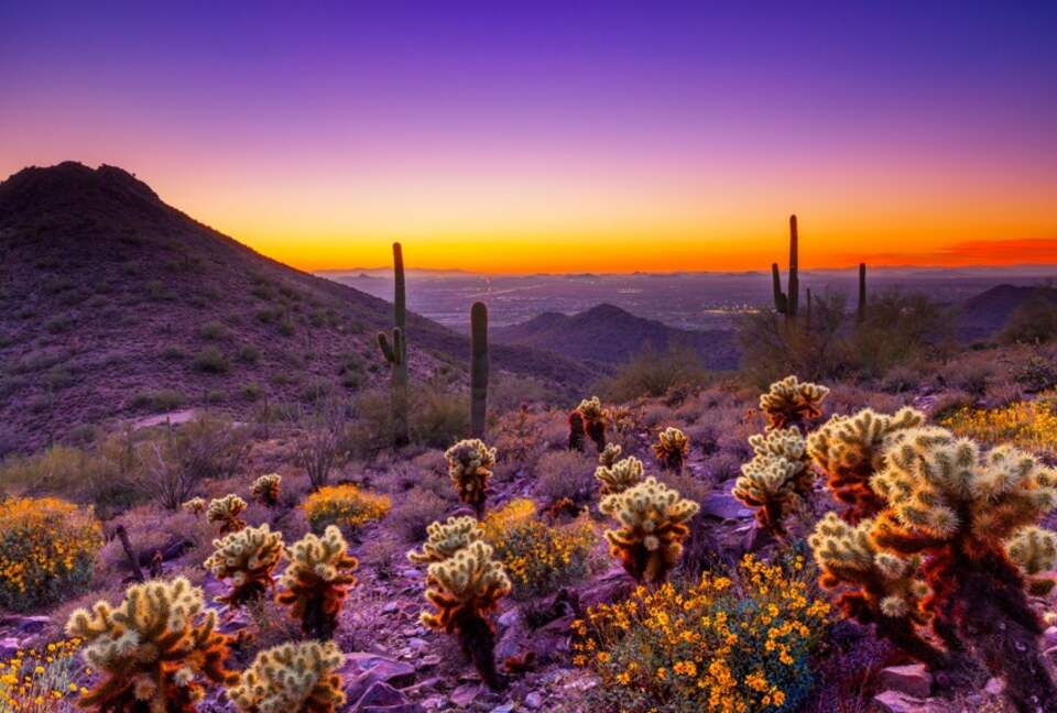 Gorgeous Grayhawk Haven - Scottsdale, Arizona