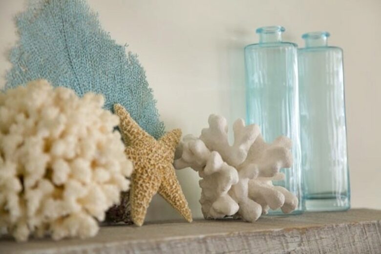 Marblehead Massachusetts Marvel - Marblehead, Massachusetts