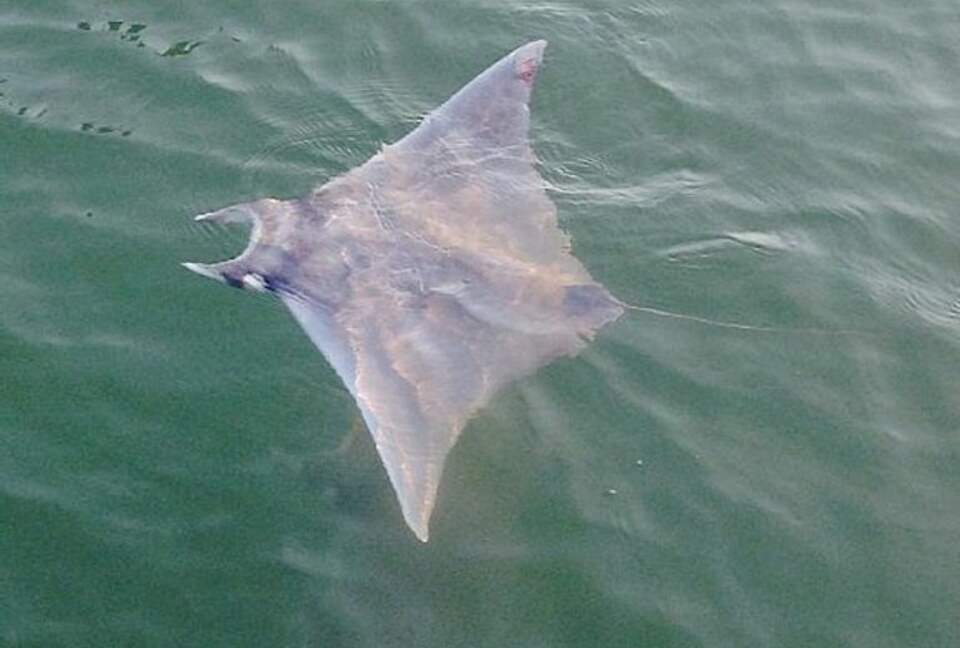 Canal Waterfront Dream - Tierra Verde, Florida