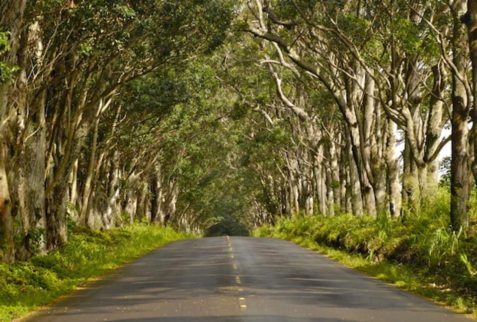 Equity Residences, Kauai Villa - Kauai, Hawaii