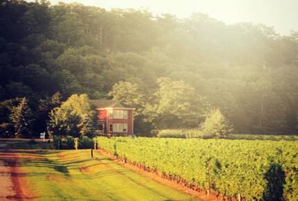 Niagara Vineyard Estate House - Niagara, Canada