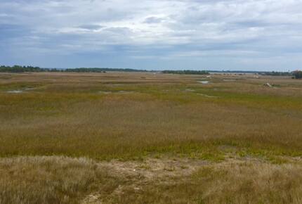 Marsh--Mellow in Wild Dunes Resort - Isle of Palms, South Carolina
