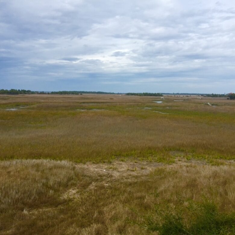 Marsh--Mellow in Wild Dunes Resort - Isle of Palms, South Carolina