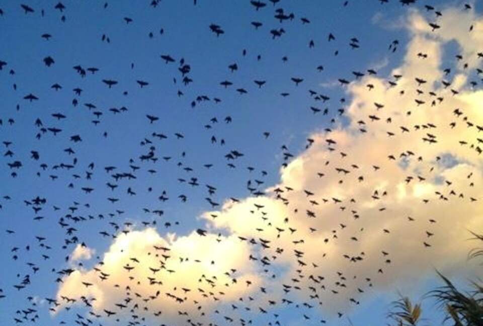 Spa-like Luxury in Colonial Gem, San Miguel de Allende - San Miguel de Allende, Mexico