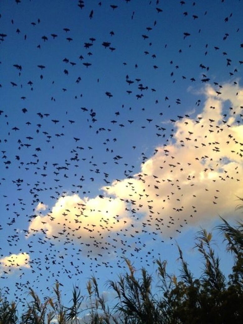 Spa-like Luxury in Colonial Gem, San Miguel de Allende - San Miguel de Allende, Mexico