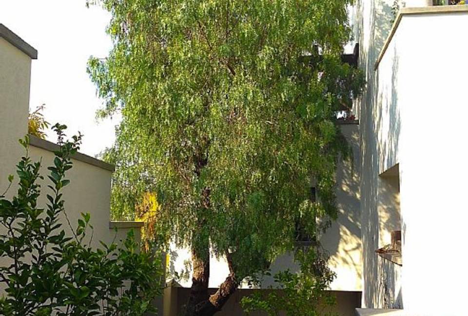 Spa-like Luxury in Colonial Gem, San Miguel de Allende - San Miguel de Allende, Mexico