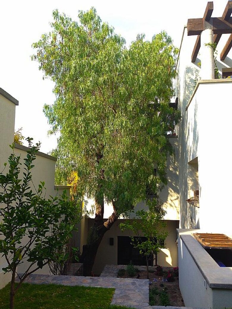 Spa-like Luxury in Colonial Gem, San Miguel de Allende - San Miguel de Allende, Mexico