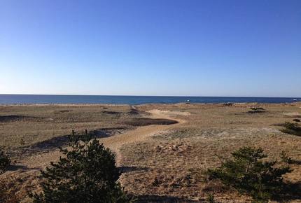 Surf Diva - Nantucket, Massachusetts