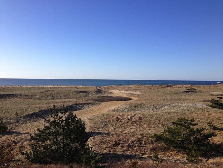 Surf Diva - Nantucket, Massachusetts