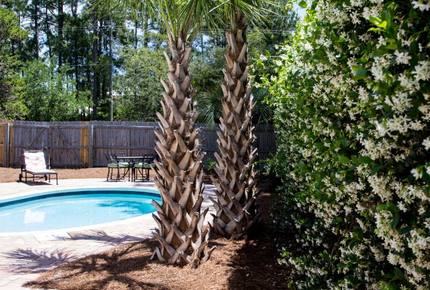 Beach Girl - 30A - Seagrove Beach, Florida