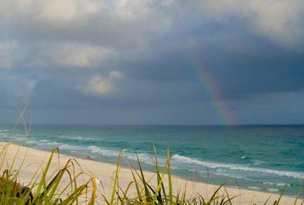 Ocean Bliss - Miramar Beach, Florida