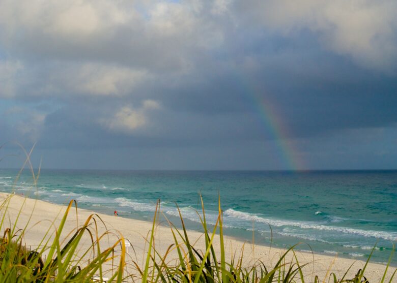 Ocean Bliss - Miramar Beach, Florida