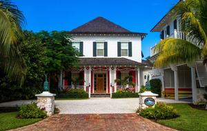 Sleepy Gull - Nassau, Bahamas