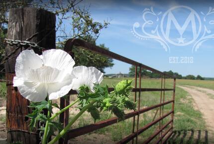 Circle M Ranch - Jewett, Texas