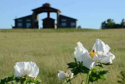 Circle M Ranch - Jewett, Texas