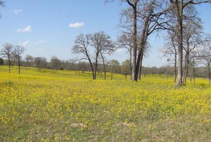 Circle M Ranch - Jewett, Texas