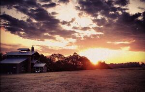 Circle M Ranch - Jewett, Texas