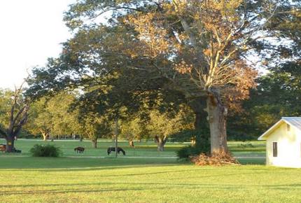 Augusta's Golf Tournament Home - Hephzibah, Georgia