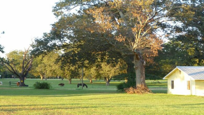 Augusta's Golf Tournament Home - Hephzibah, Georgia