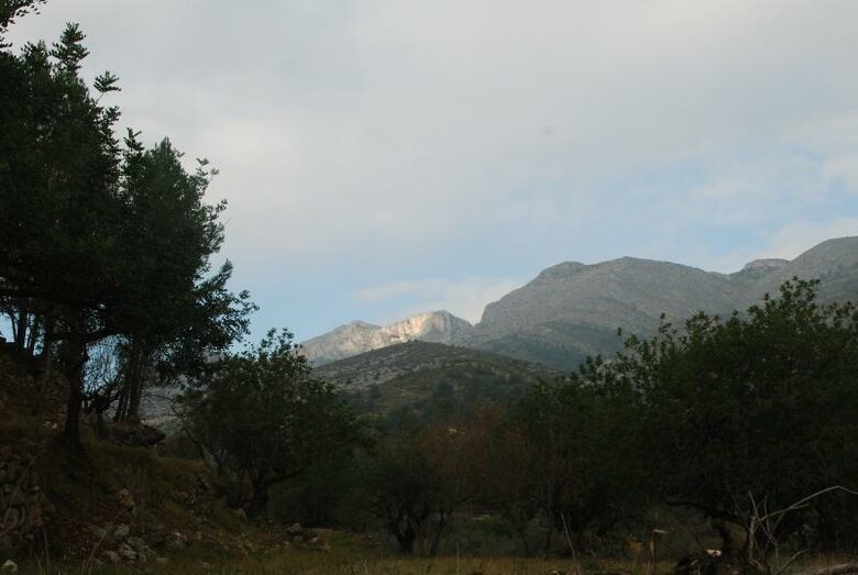 El Chiquito - Orba, Spain