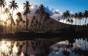 Villa at Pinney's Beach - Charlestown, Saint Kitts and Nevis