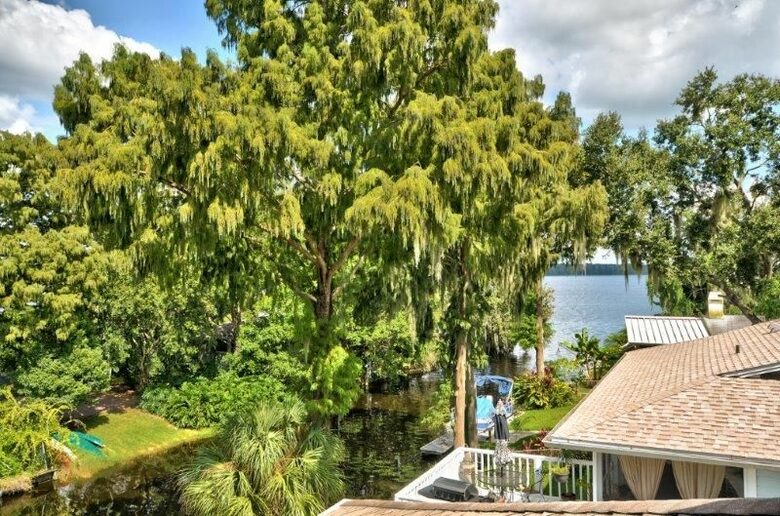 Lake Tarpon Waterfront Home - Palm Harbor, Florida