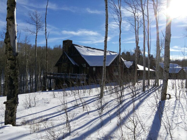 Campbird Cabin Retreat - Montrose, Colorado