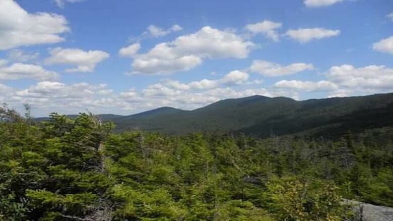 Luxury Stowe Vermont Home - Stowe, Vermont