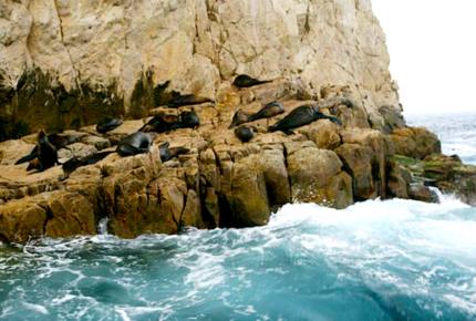 Palmilla Villa Escape - Punta Bella, Mexico