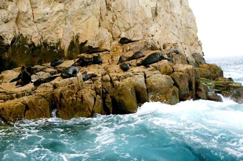 Palmilla Villa Escape - Punta Bella, Mexico