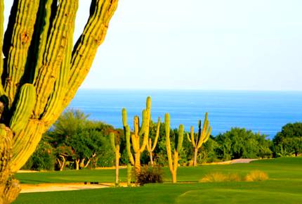 Palmilla Villa Escape - Punta Bella, Mexico