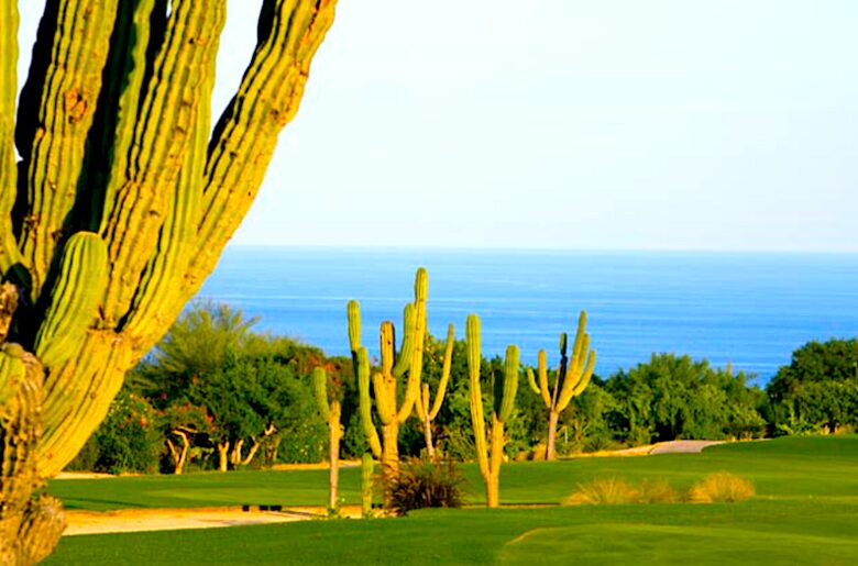 Palmilla Villa Escape - Punta Bella, Mexico