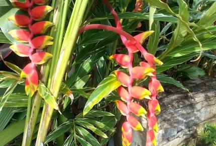 Vista Las Palmas - 3 Bedroom Residence - Jaco, Costa Rica