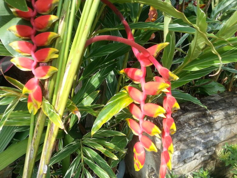 Vista Las Palmas - 3 Bedroom Residence - Jaco, Costa Rica