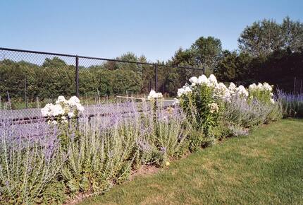 Sagaponack - Hamptons - Sagaponack, New York