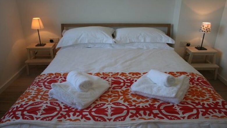 Rock Pipit - New Polzeath, United Kingdom