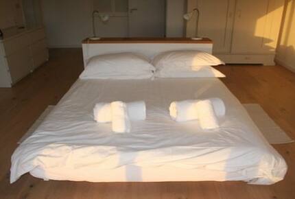 Rock Pipit - New Polzeath, United Kingdom