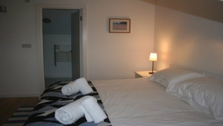 Rock Pipit - New Polzeath, United Kingdom