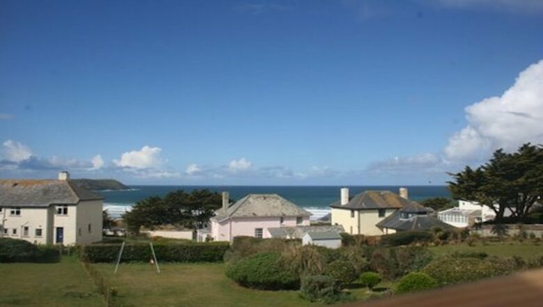 Rock Pipit - New Polzeath, United Kingdom