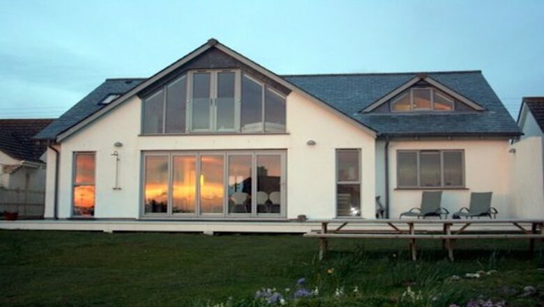 Rock Pipit - New Polzeath, United Kingdom