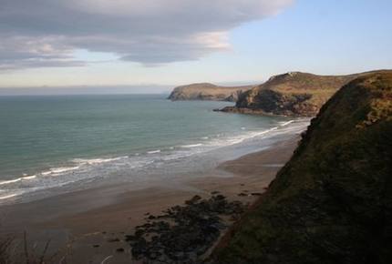 Rock Pipit - New Polzeath, United Kingdom