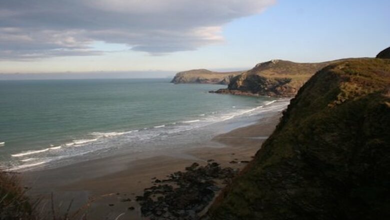Rock Pipit - New Polzeath, United Kingdom