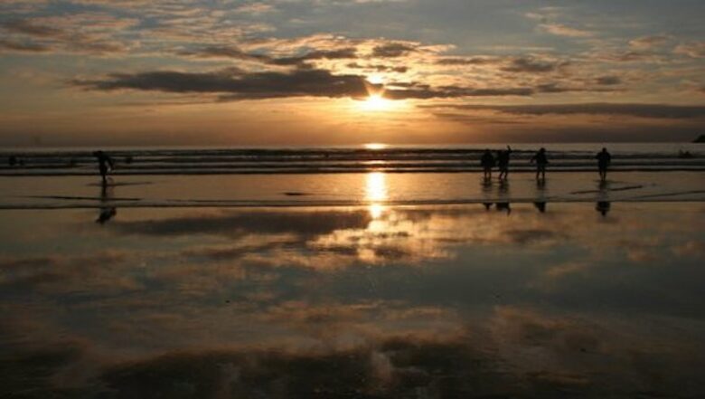 Rock Pipit - New Polzeath, United Kingdom