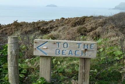 Rock Pipit - New Polzeath, United Kingdom