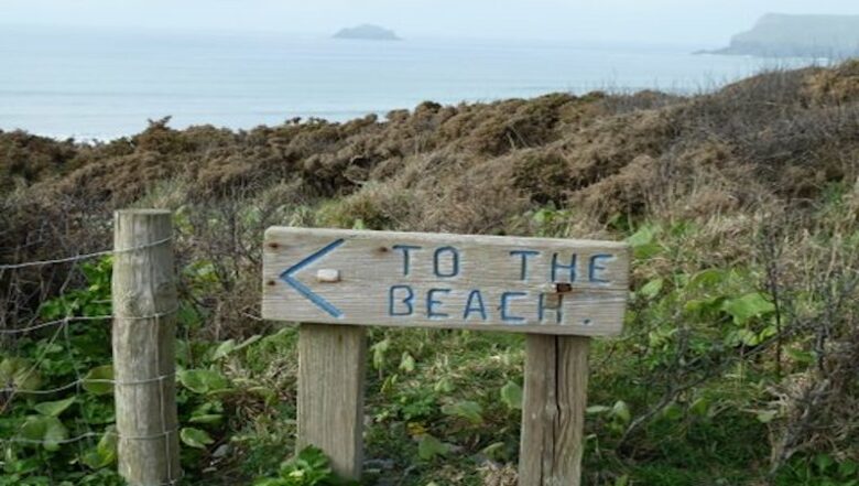 Rock Pipit - New Polzeath, United Kingdom
