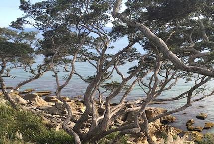 Rawhiti House - Langs Beach, New Zealand