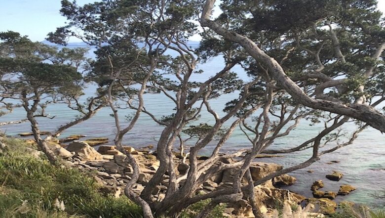Rawhiti House - Langs Beach, New Zealand