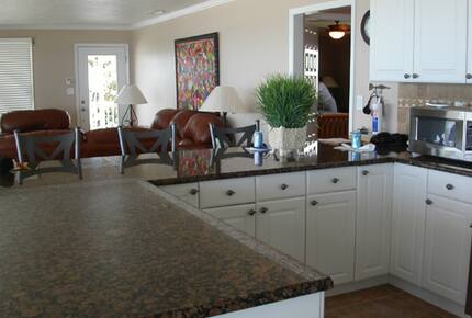 Dolphin Watch - St. Augustine, Florida