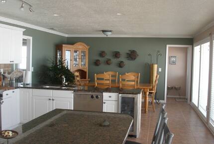 Dolphin Watch - St. Augustine, Florida